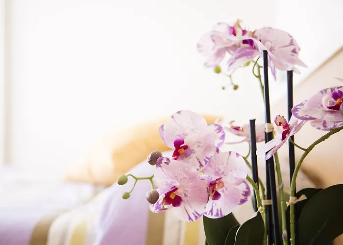 Meeting Στρέσα